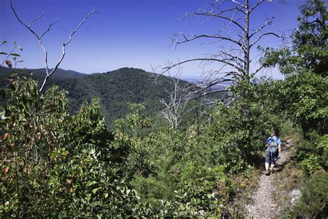 Rocky Mount Trail - The Hoppy Hikers