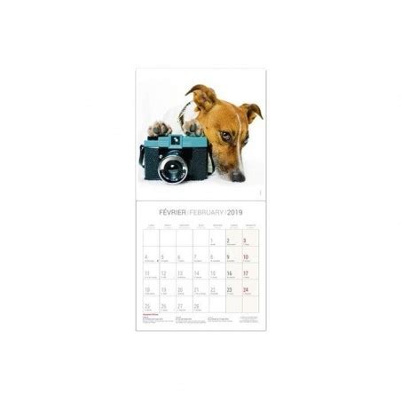 Stock Bureau Bouchut Calendrier Illustr Ann E Civile Vie De Chien