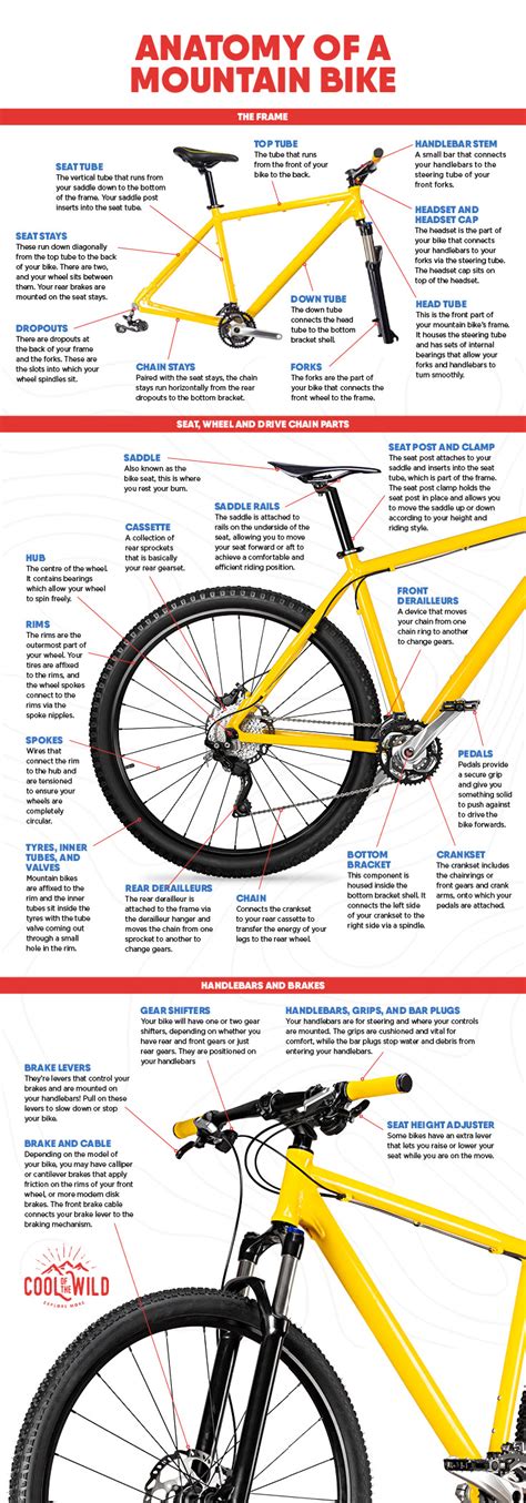 Mountain Bike Components Diagram Mountain Bike Components