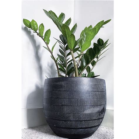 Black Ceramic Flower/Plant Pot 22cm | A London Brand