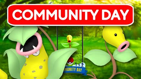 Bellsprout Community Day Event Details Pokemon Go Youtube