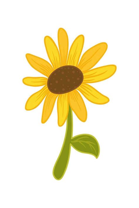 Sunflower Cartoon Illustration Isolated In White 27785810 Vector Art at ...