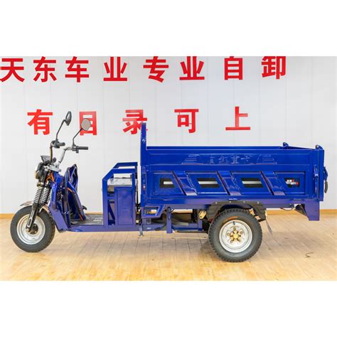 M Large Capacity Three Wheeled Electric Vehicle E Trike Tricycle For