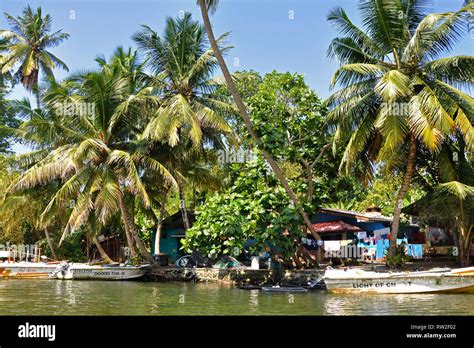 Sri Lanka Balapitiya Madu Ganga River Stock Photo Alamy