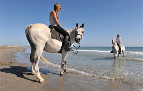 Premium Photo | Horseback riding on the beach