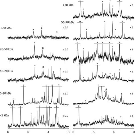 Solution 31 P Nuclear Magnetic Resonance NMR Spectra 500 MHz Of The