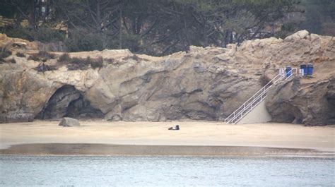 Pirates Cove Beach in Newport Beach, CA - California Beaches