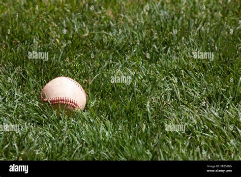 baseball  green grass background stock photo alamy