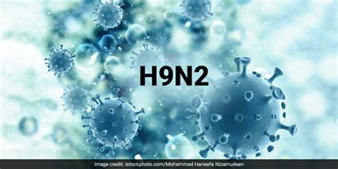 H9N2 एवियन इन्फ्लूएंजा वायरस: जानें इससे संक्रमित होने के कारण, लक्षण ...