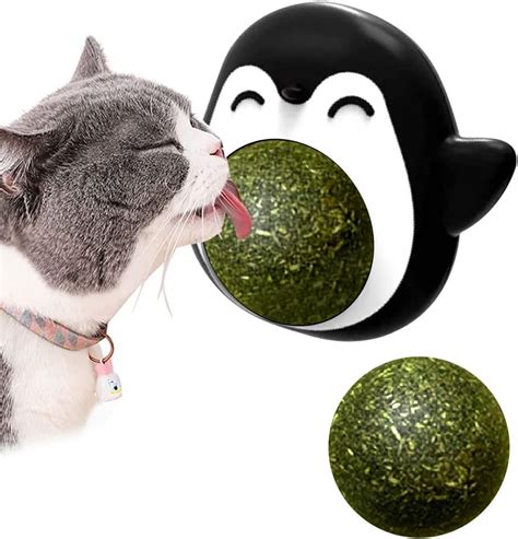 Descubre La Magia De Los Catnip Juguetes Para Gatos Diversi N Y