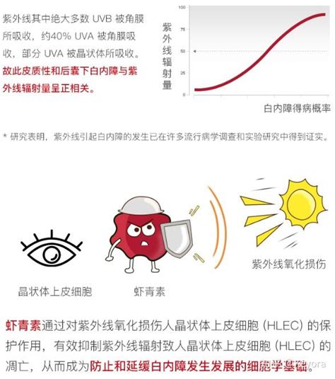 浅谈 强抗氧化性 膳食营养素 虾青素 知乎