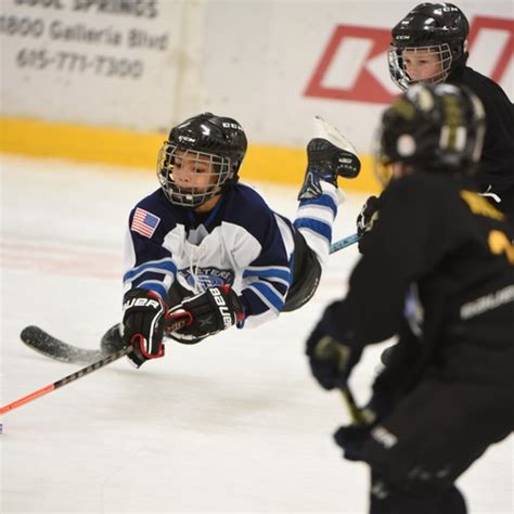 Carshield Aaa Hockey Spring 11u 2013 Roster Spring Program 2024