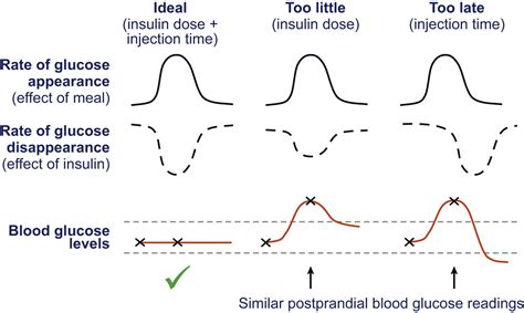 Types Of Insulin Chart Breathe Well Being