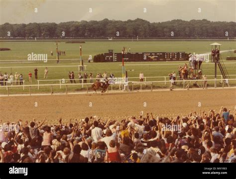 Secretariat Stakes Hi Res Stock Photography And Images Alamy