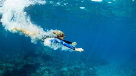 Arti Mimpi Berenang Di Laut Renang Dengan Lumba Lumba Di Laut