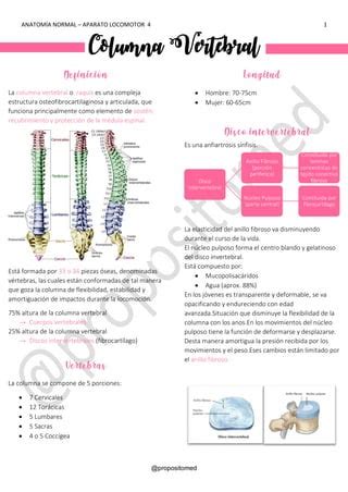 Generalidades De La Columna Vertebral Pdf