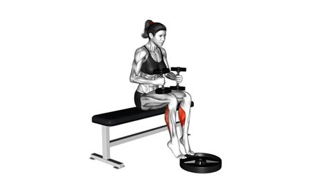 Female Dumbbell Seated Calf Raise Video Guide And Tips