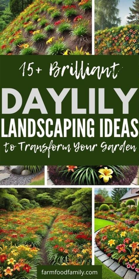 15 Brilliant Daylily Landscaping Ideas To Transform Your Garden 2024