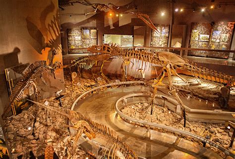 Tour Museo Del Desierto Coahuila Paseos Monterrey