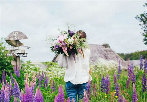 Dr Mmer Du Om En Vild Blomstereng I Haven Vilde Blomster Haver Stauder