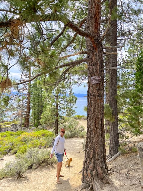 Guide To Secret Cove Lake Tahoe Couple In The Kitchen