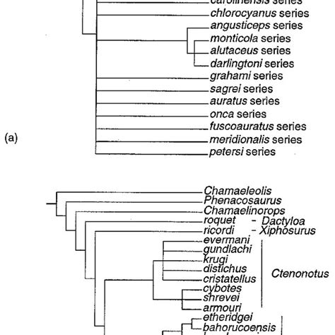 Pdf Phylogenetic Relationships And Tempo Of Early Diversication In