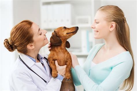 Aspca Pet Health Insurance Review Best For Multiple Pets