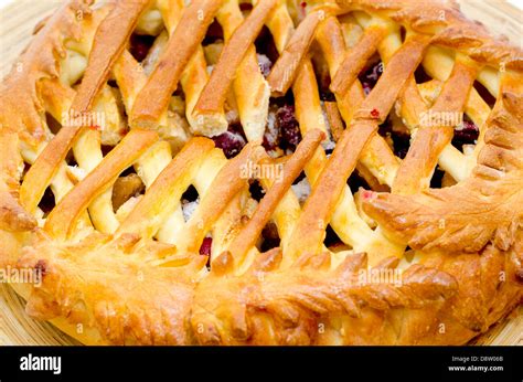 red de pie  res stock photography  images alamy