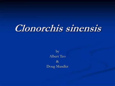 PPT - Clonorchis sinensis PowerPoint Presentation, free download - ID:554202