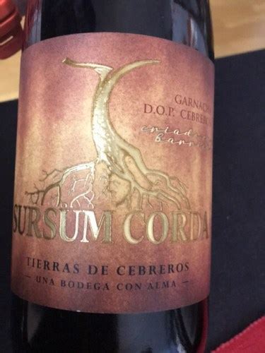 Tierras De Cebreros Sursum Corda Garnacha Vivino Canada