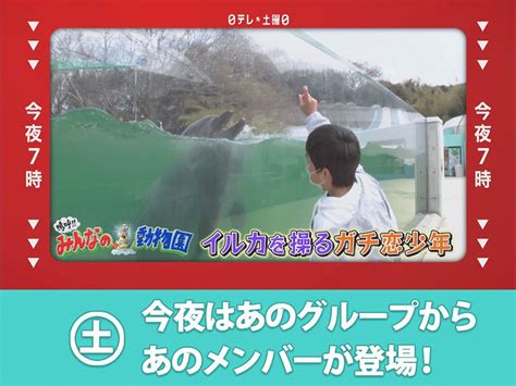 日テレ【キャンペーン中🍎】 On Twitter 今夜の日テレ系は 🕖夜7時『嗚呼みんなの動物園』 ガチ恋さん紹介🐾相葉雅紀 🕗夜7時