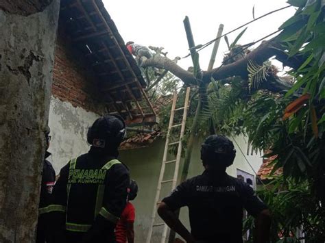 Pohon Tumbang Timpa Rumah Warga Damkar Kuningan Segera Bertindak