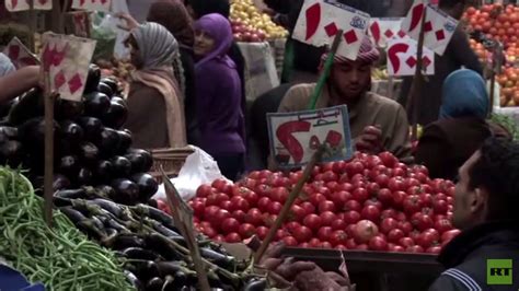 ارتفاع صادرات السلع الغذائية المصرية Rt Arabic