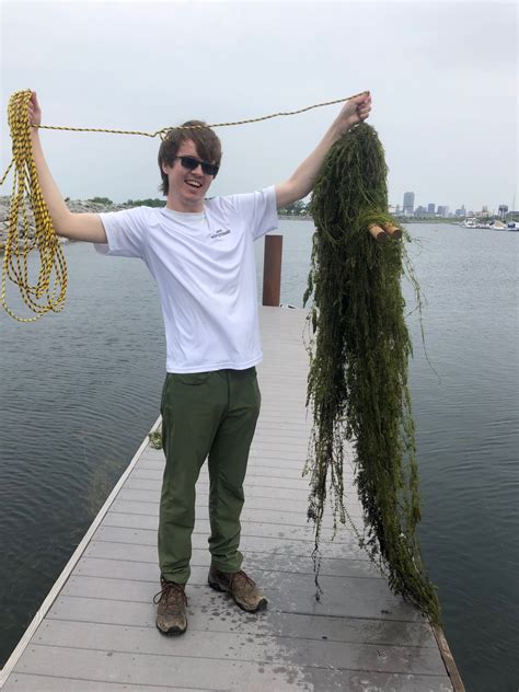 aquatic invasive species | New York State Parks Blog