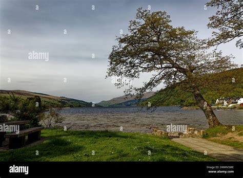 Loch Tay Scotland UK Stock Photo - Alamy