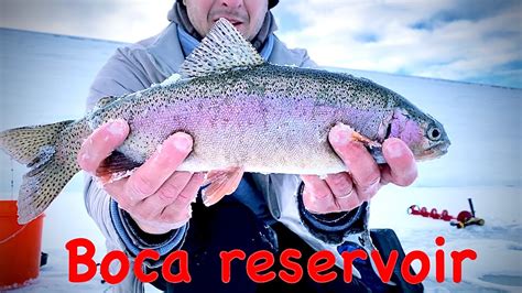 Non Stop Action Ice Fishing For Brown And Rainbow Trout In California