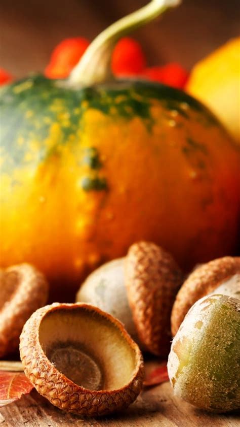 Thanksgiving Desktop Backgrounds - 640x1136 Wallpaper - teahub.io