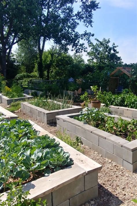 Horta Blocos De Concreto Como Plantar E Ideias