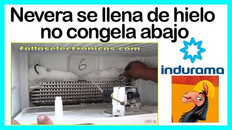 Refrigerador Indurama Se Llena De Hielo No Congela Abajo Youtube