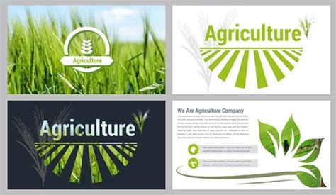 Impress everyone with agriculture PowerPoint templates