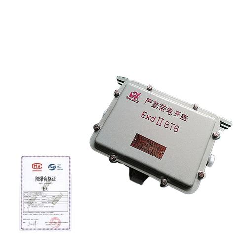 Bdh Bjx Explosion Proof Ballast Junction Box With Metal Halide Lamp