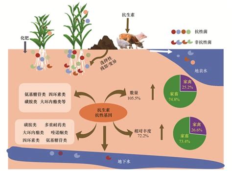 施肥对农田土壤抗生素抗性基因影响的整合分析