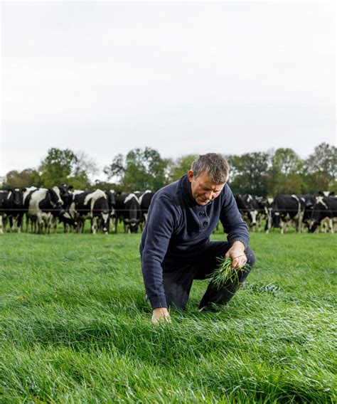 Silage Fertiliser Grassland Fertiliser Grow The Future Yara Ireland