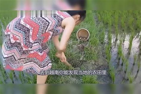 越南果然盛产美女，小姐姐摸鱼太养眼了，真想把她娶回家！真想姐姐美女