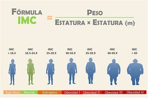 Cu L Es La Diferencia Entre Sobrepeso Y Obesidad La Gu A De Las