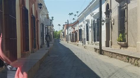 Alamos Sonora Lo Que Debes De Saber Antes De Viajar