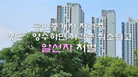 공인중개사 자격증 양도·양수 알선하면 자격증 취소되고 알선자 처벌 선진국형으로 공인중개사제도 개선 필요 Youtube