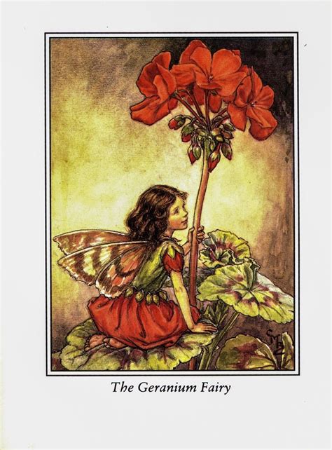 Flower Fairies Of The Garden Cicely Mary Barker 1944 The Geranium Fairy