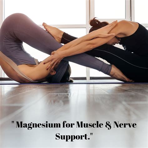 Magnesium Glycinate 800mg/High Absorption – Supports Wellness/Sleep/Muscle Function/Heart Health ...