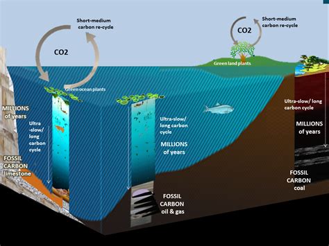 CO2 sources